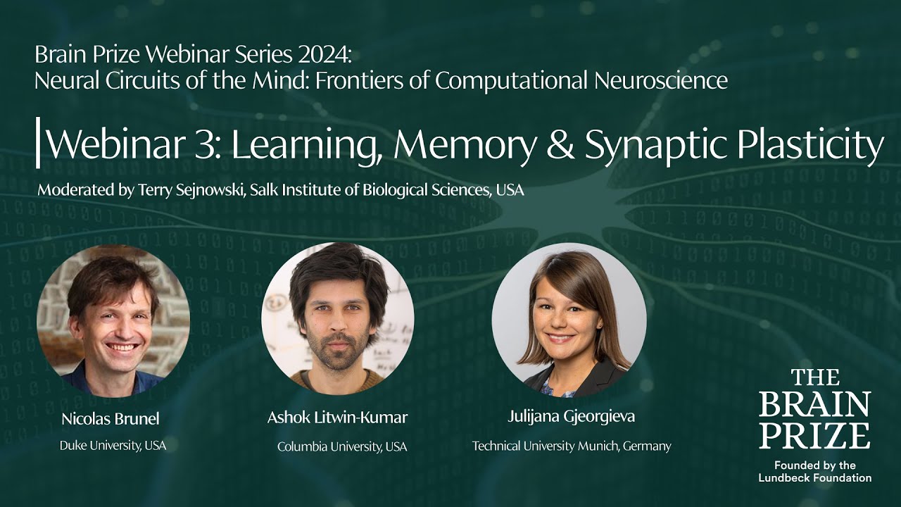 Webinar 3: Learning, Memory & Synaptic Plasticity