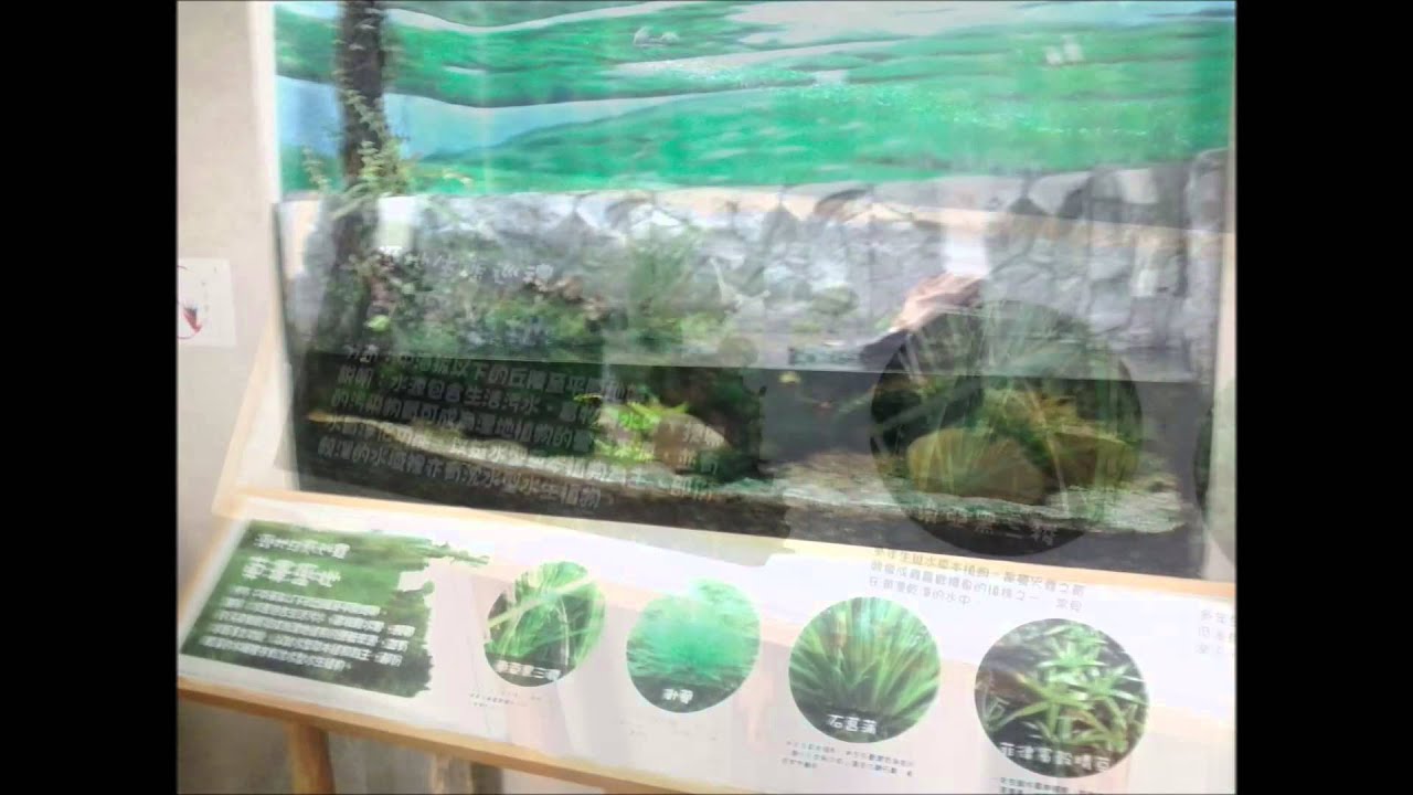 2015.01.21 板橋戶外教學
