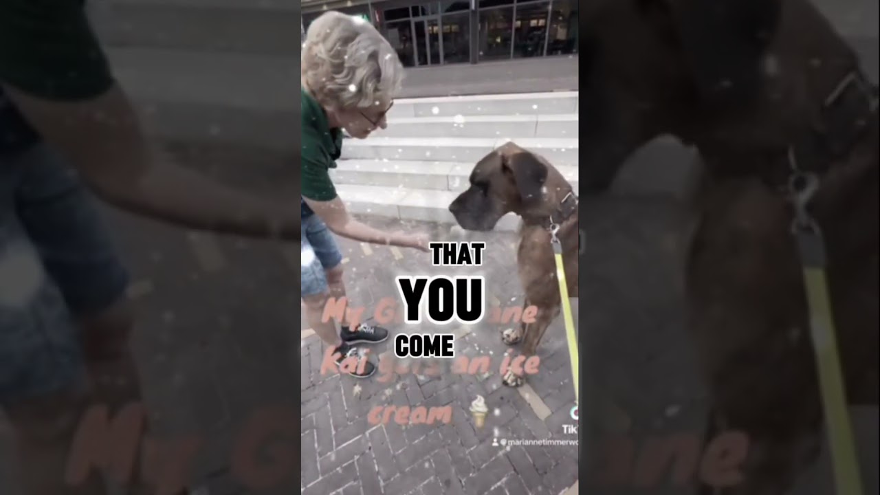 A dog with Marianne Timmer
