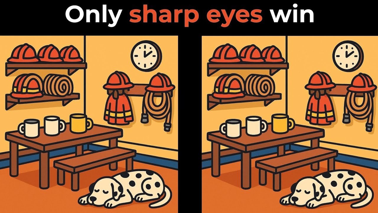 Find 3 differences in 90 seconds: A true challenge for your brain