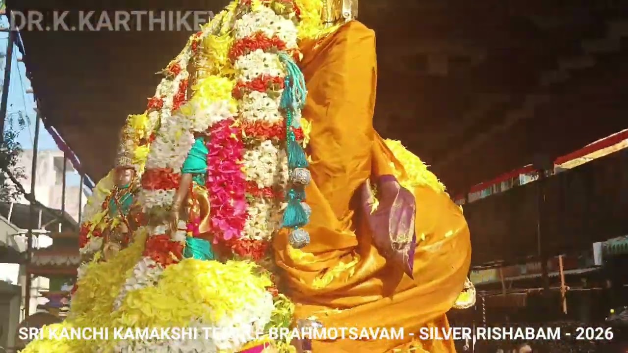 SRI KANCHI KAMAKSHI TEMPLE BRAHMOTSAVAM - SILVER RISHABAM -2026