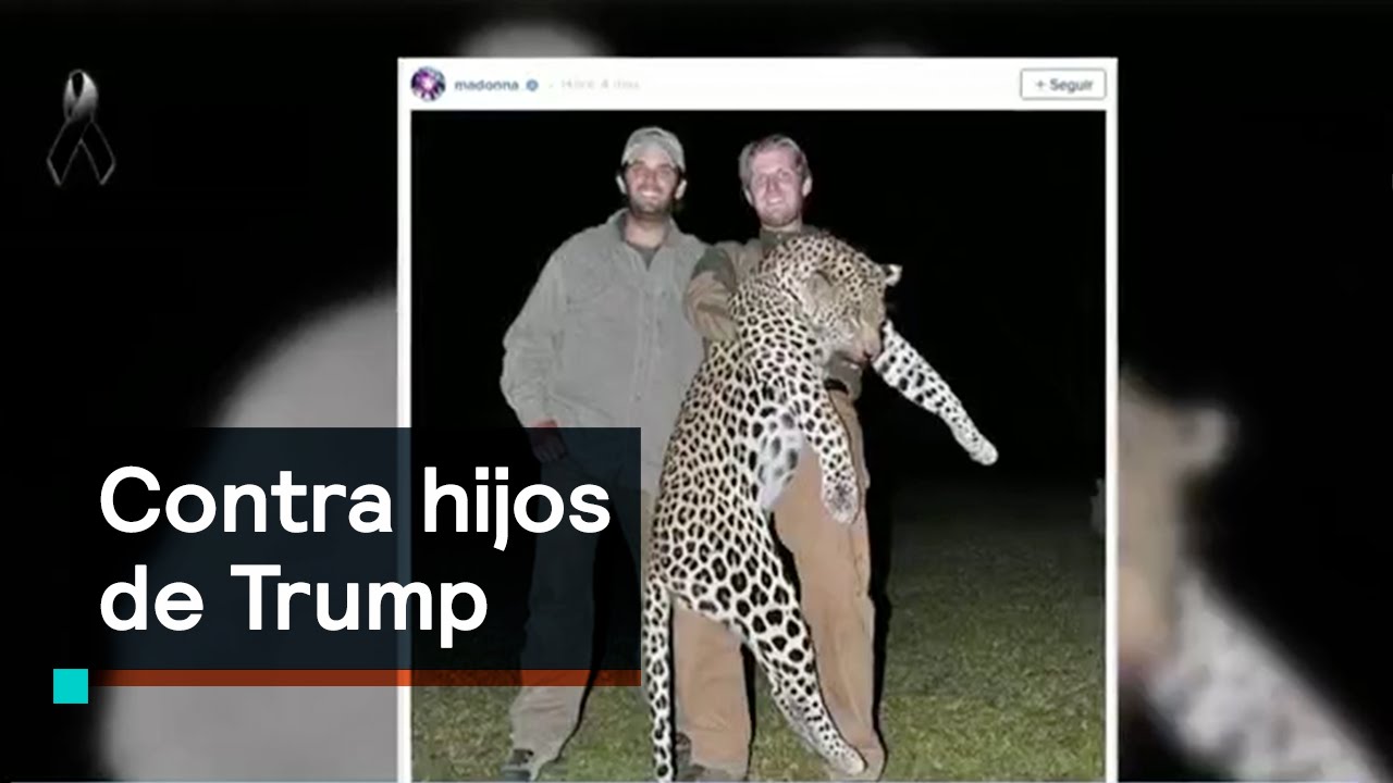 Madonna contra hijos de Trump - con Carlos Loret de Mola