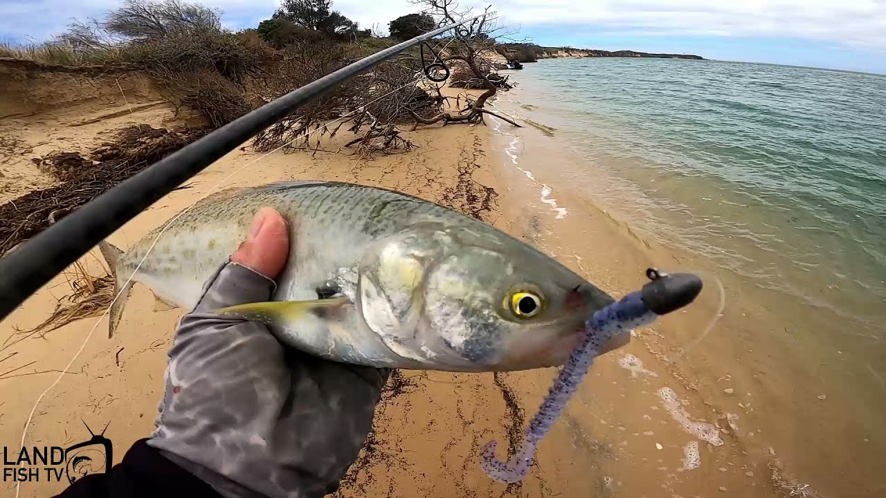 Fishing a 5m drop off at my feet (with lures)