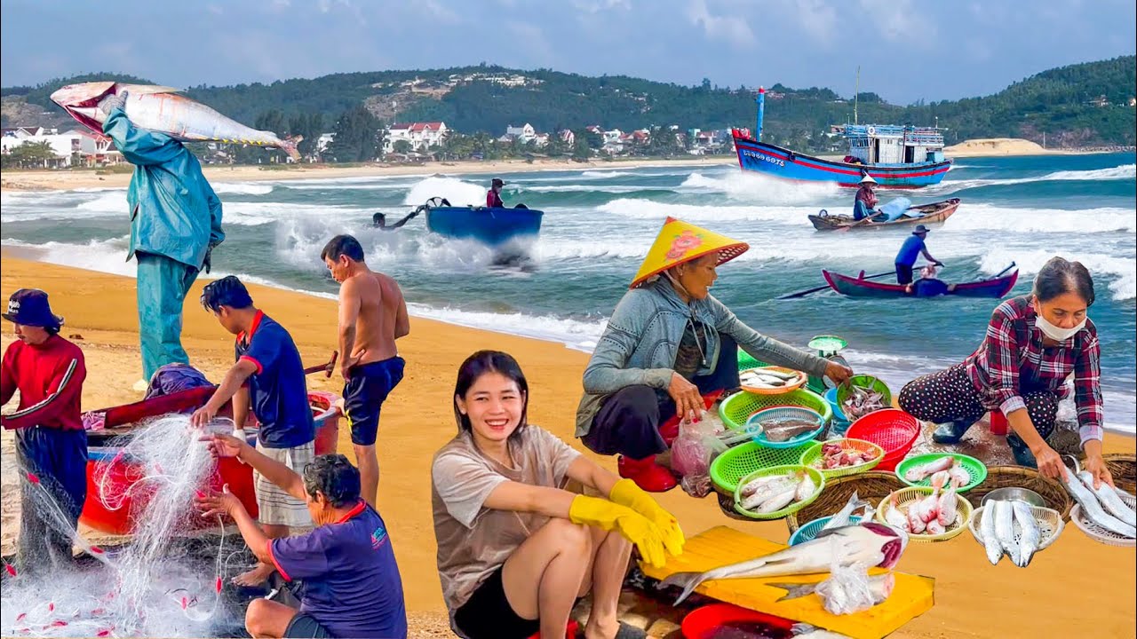 Gió Mùa Bắc Về Biển Tam Quan Bình Định║Tìm Thăm Bạn Hậu,Anh Hai Chuyến Câu Cá Ngừ Đại Dương