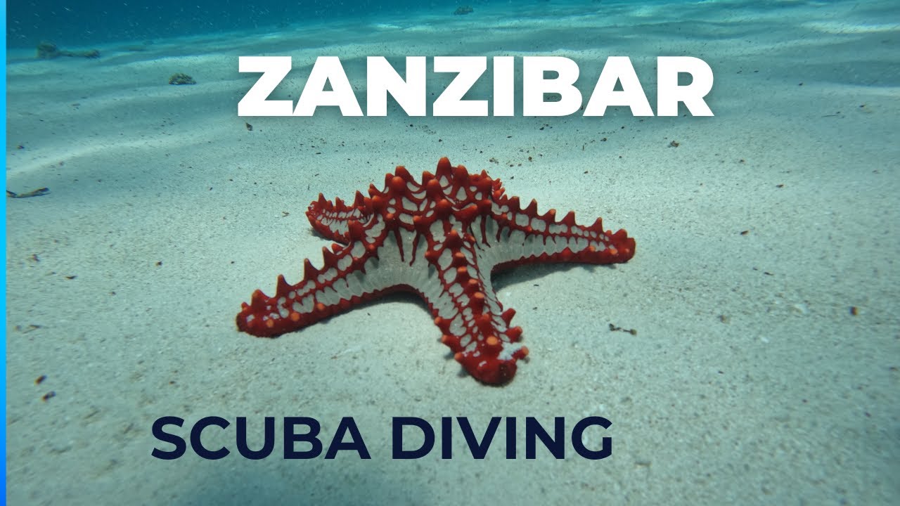 Zanzibar Scuba Diving