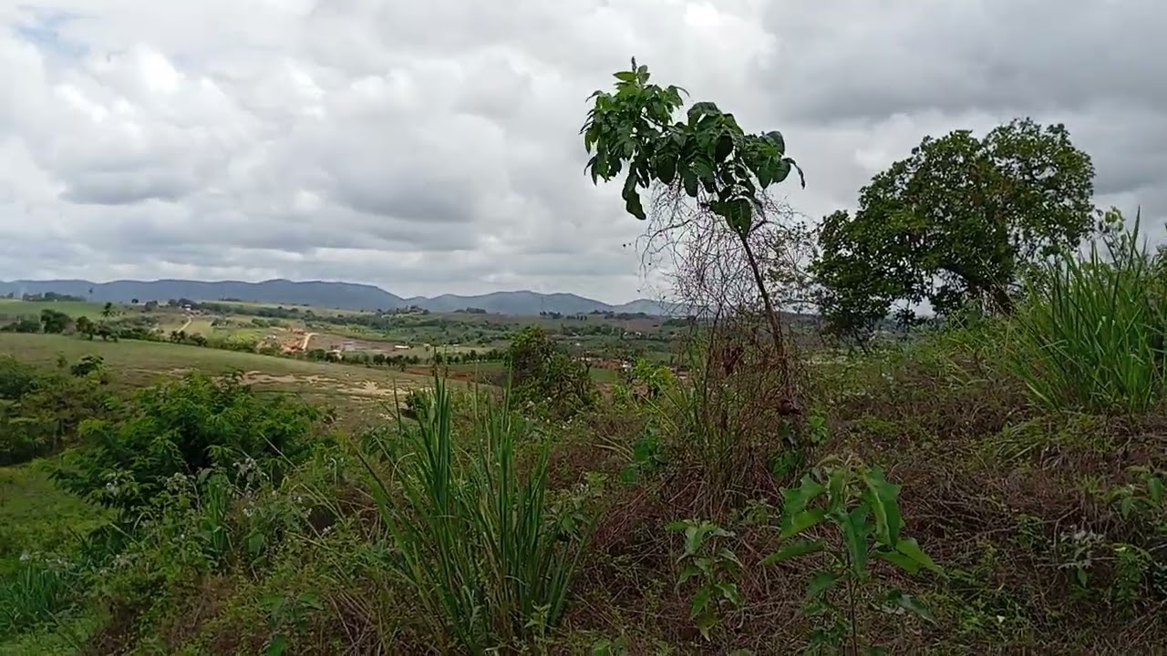 SITIO BOM JEUS NAZARÉ CHAN DO CARVÃO  20/02/2026