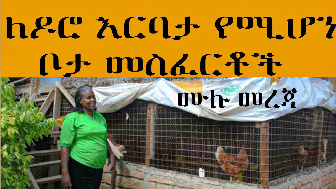 የዶሮ እርባታ የቤት አሰራር መስፈርቶች ! የብዙ ሰው ጥያቄ በዚህ ቪዲዮ መልስ ያገኛል