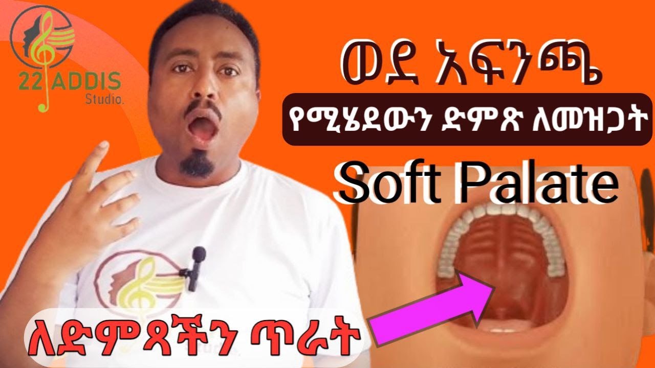 ለስላሳው የላንቃችን ክፍል ወሳኝ የድምፅ አካል ነው Function Soft palate