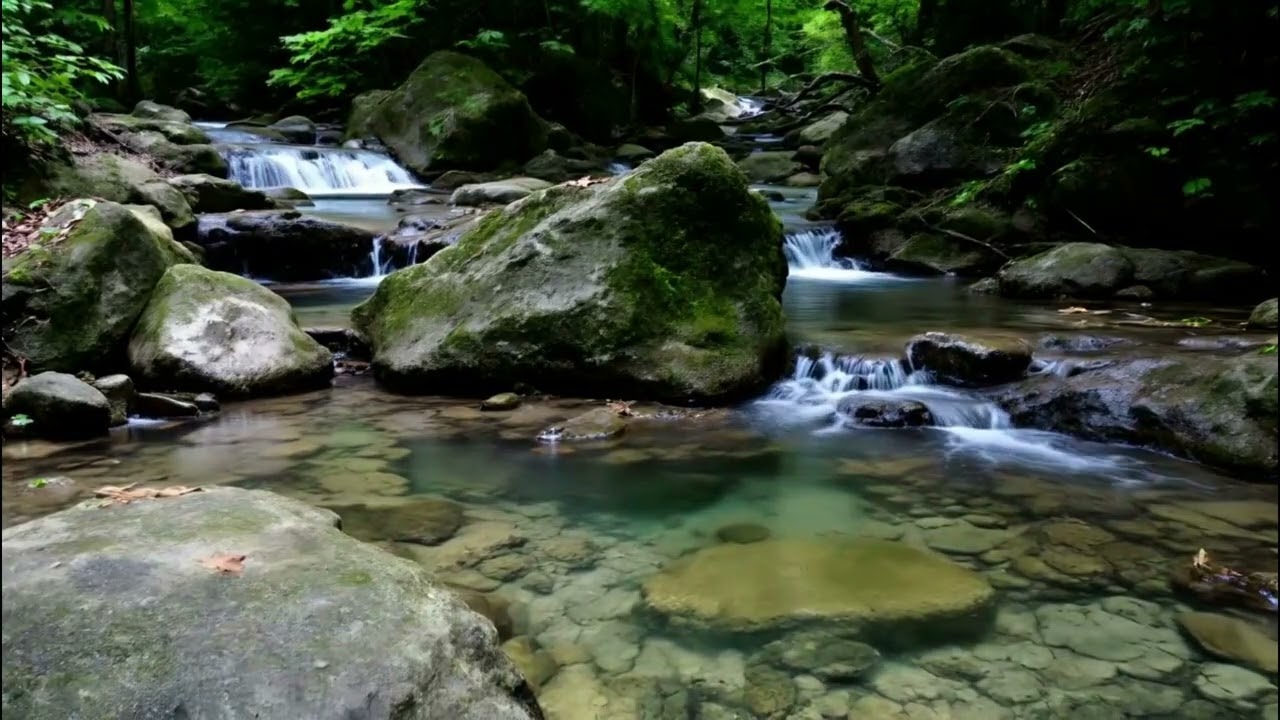 Peaceful Forest Stream Flowing Over Mossy Rocks | Deep Sleep Sounds