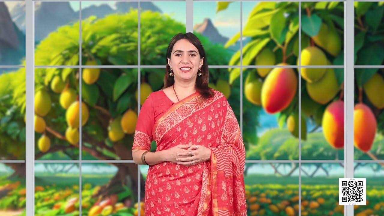 NCERT Class- 1 Maths Chapter: Mango Treat- Ep-2