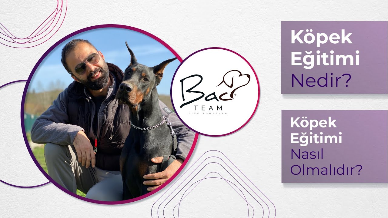 Köpek Eğitimi Nedir? - Berker Arslan ile Köpek Eğitimi