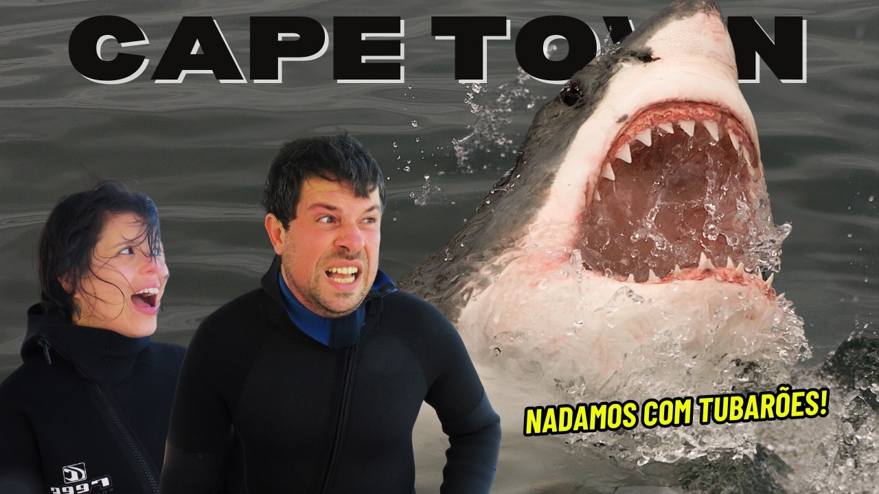 Você teria coragem? 🦈 Mergulho com TUBARÕES na Shark Cage em Cape Town!