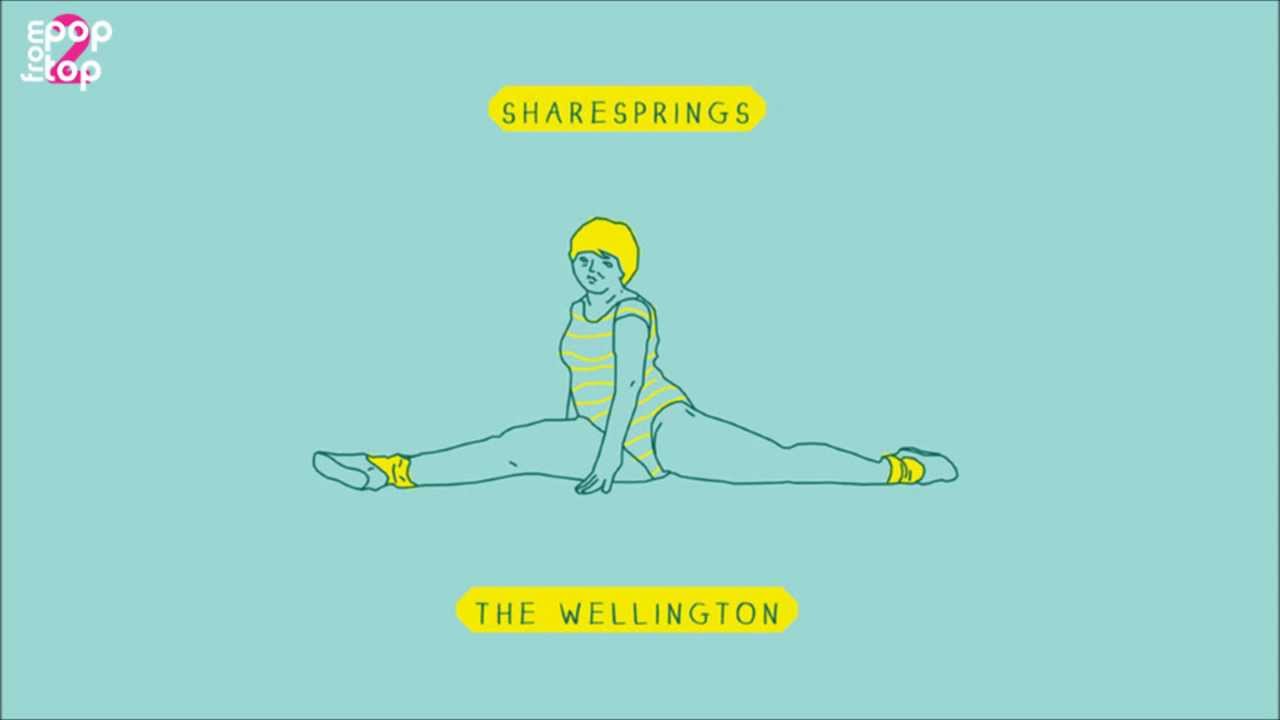 The Wellington • Someone Knock On My Door