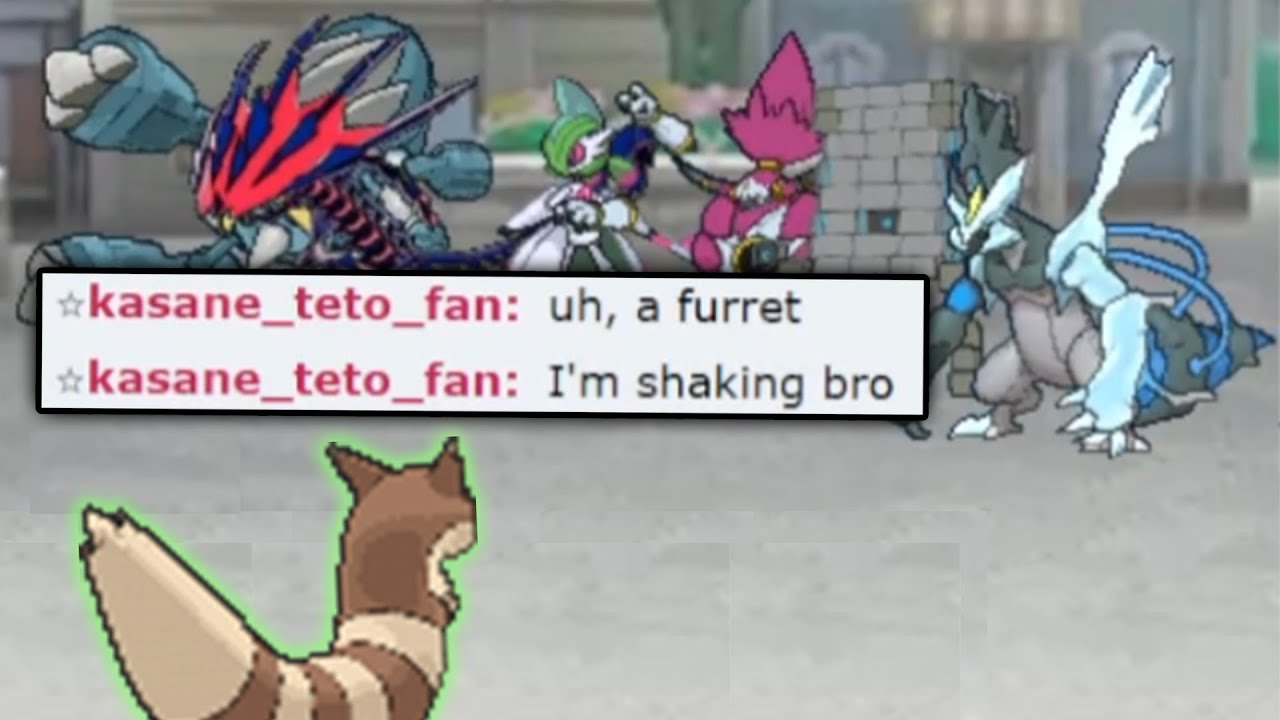 I Hacked my Furret to be Unstoppable.