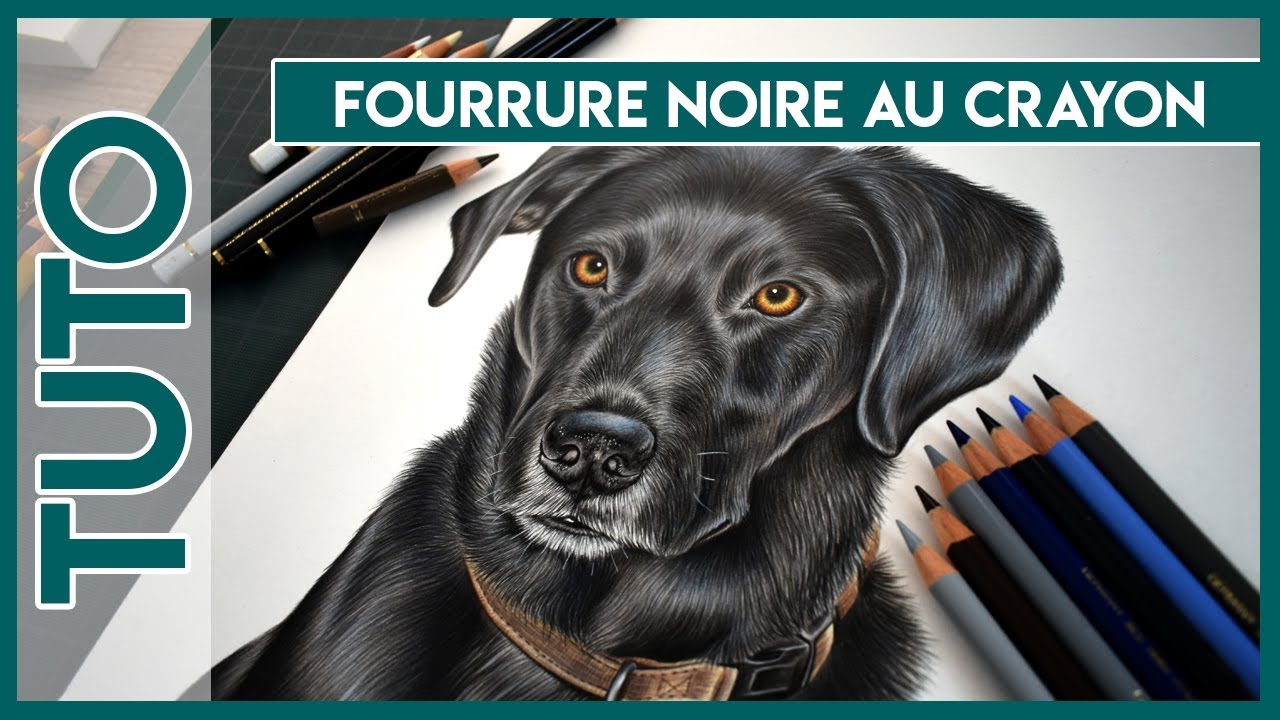 Tuto dessin, dessiner une fourrure noire au crayon de couleur