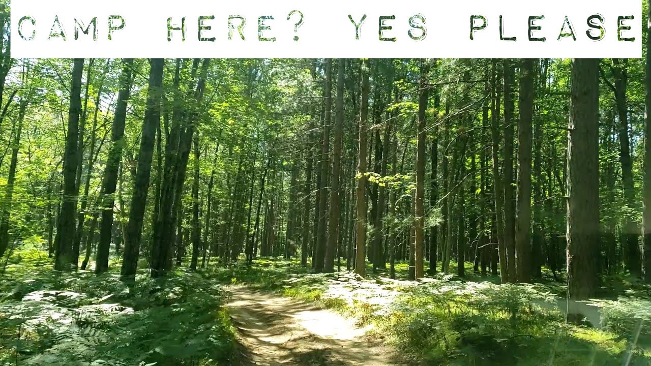 Free Camping with river access in Michigan.