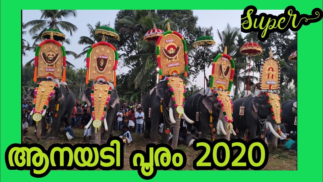 Anayadi pooram, Anayadi gajamela