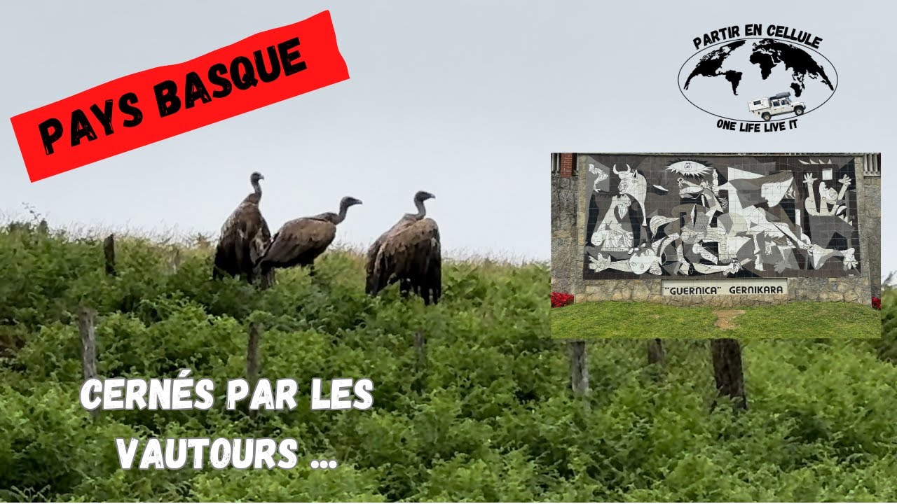Pays Basque : Cernés par les vautours