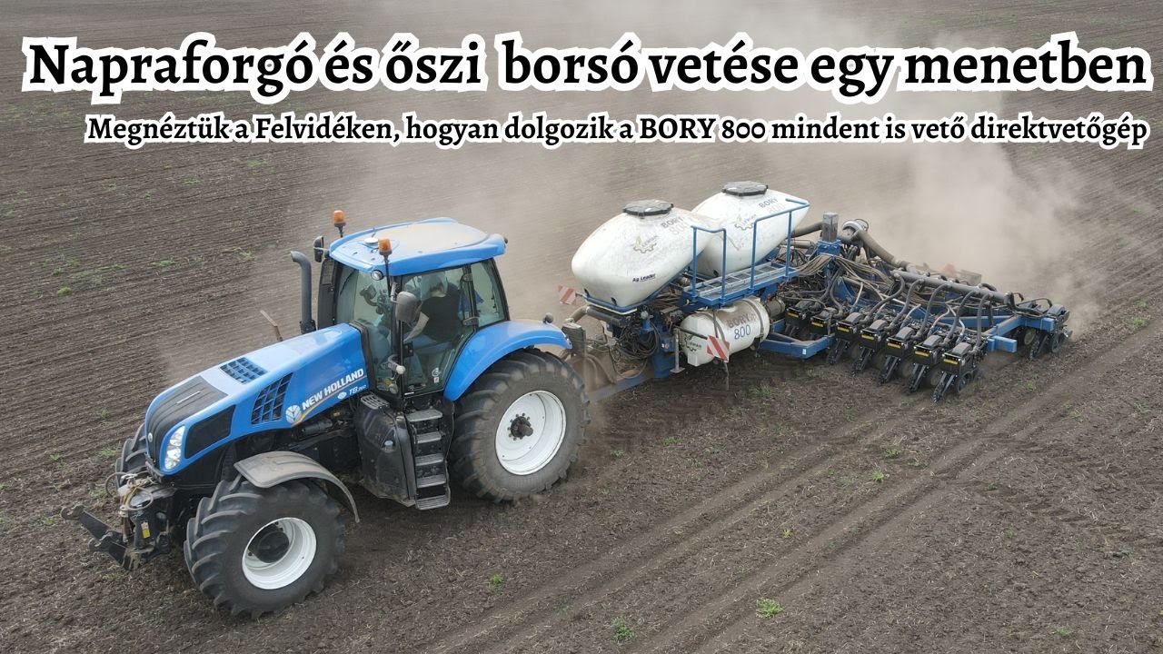 Őszi borsó és napraforgó min-till vetése egymentben - Bory 800 direktvetőgéppel