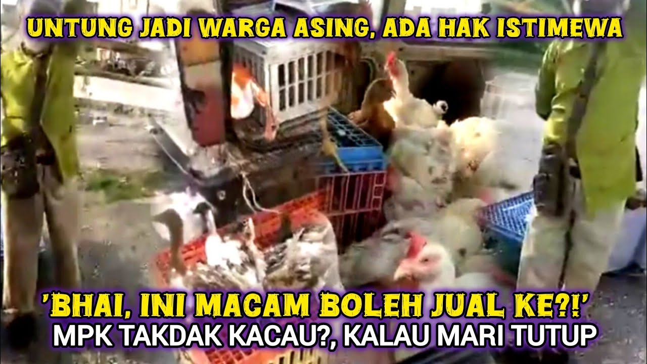 WARGA BANGLADESH JUAL AYAM HIDUP DI PASAR MALAM KLANG UNDANG KECAMAN