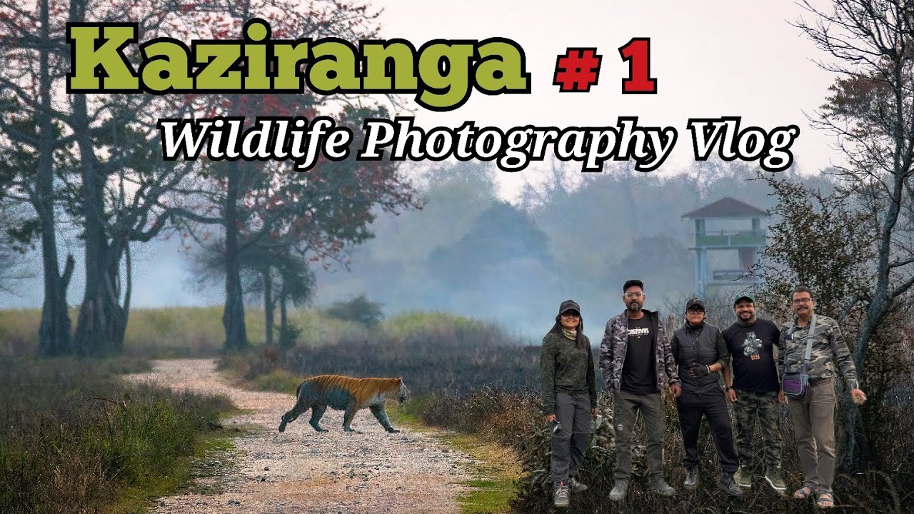 Kaziranga Wildlife Photography Vlog # 1