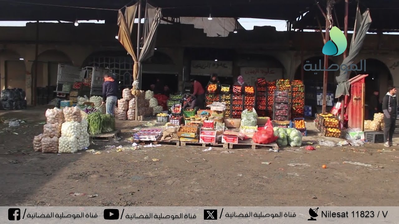 كاميرا الموصلية ترصد الحركة التجارية واسعار الخضروات والفواكه بسوق الجملة في علوة حي العربي بالموصل