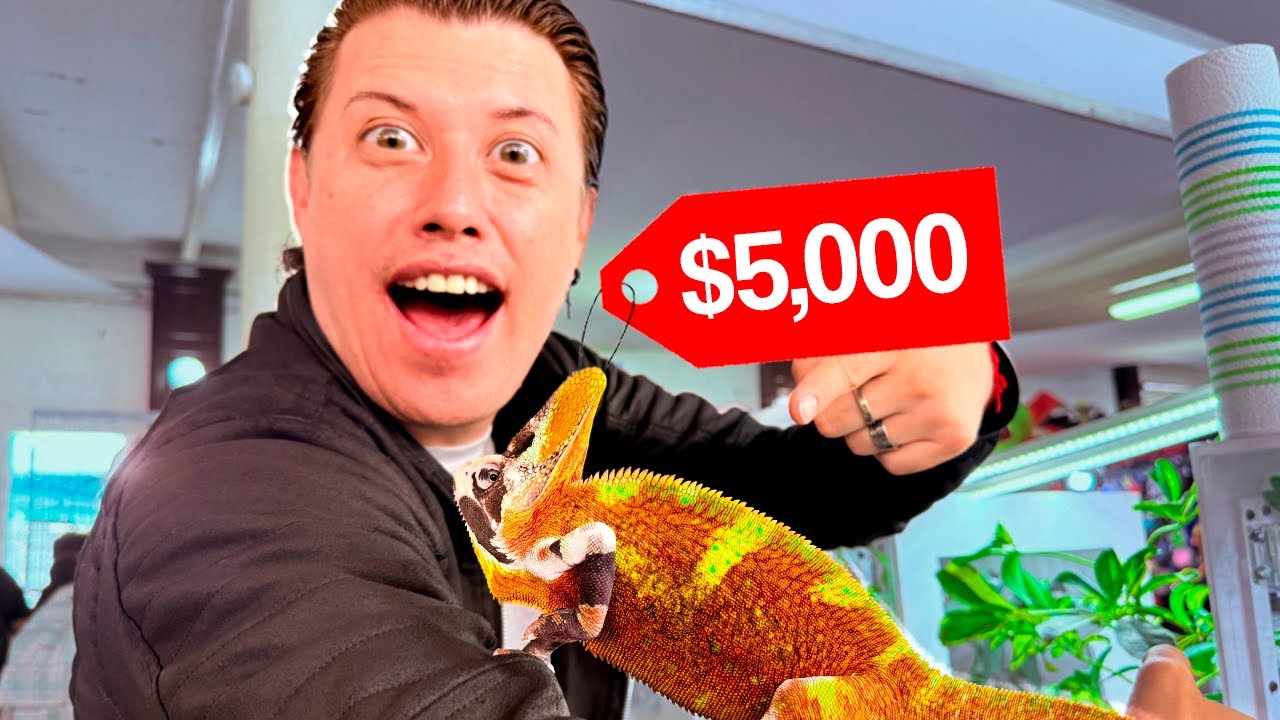 Buscando el animal más caro de animalia más de $100,000