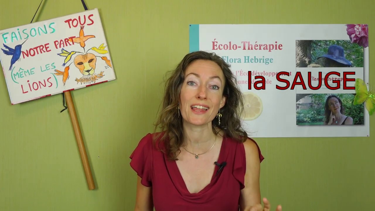 LA SAUGE, une pante 
