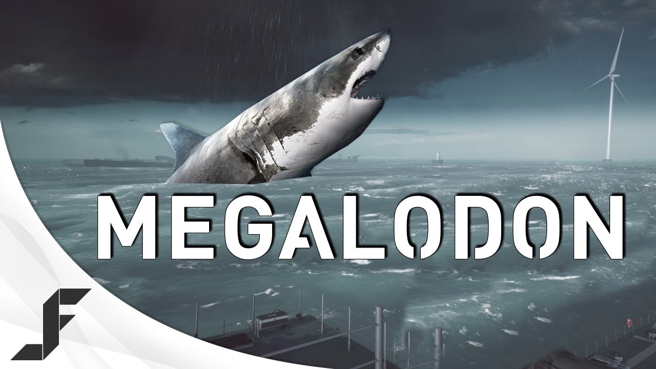 Battlefield 4 Megalodon - Giant Shark Easter Egg? + Phantom Prospect