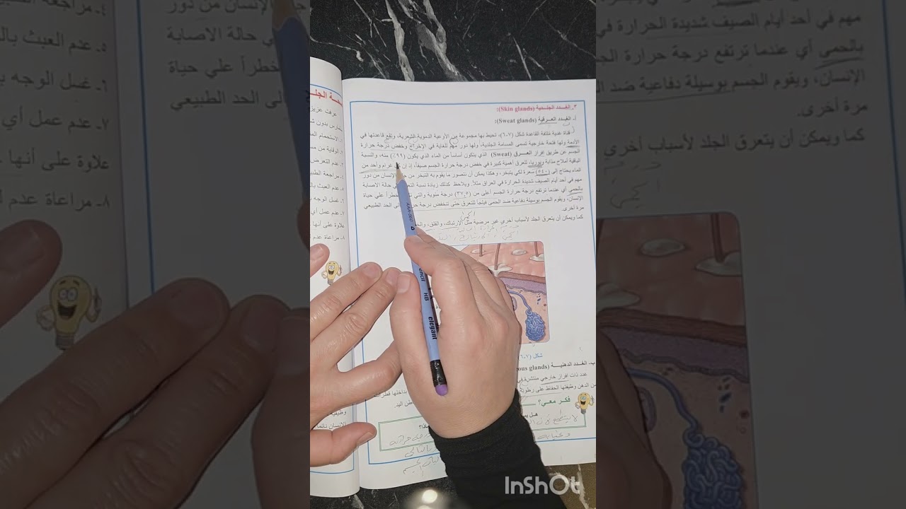 المحاضرة الثانية/ الفصل السابع/ الثالث متوسط 