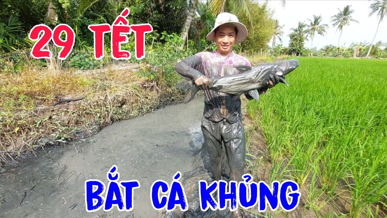 29 Tết Tác Cái Ao Lâu Năm Bắt Được Nhiều Cá Khủng, Kiếm Cá Về Ăn Tết Cả Nhà Ơi