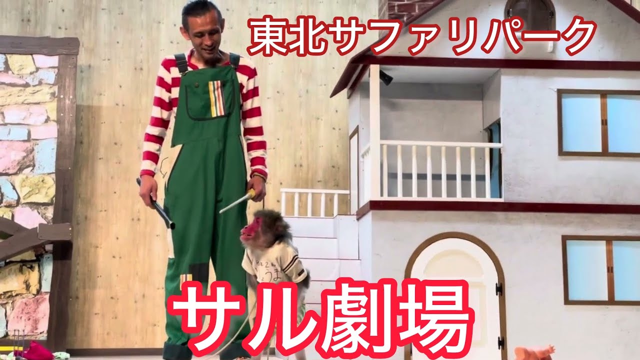 東北サファリパーク/サル劇場
