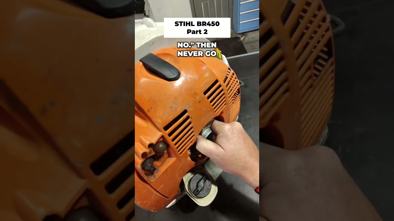 Общее техническое обслуживание STIHL BR450, часть 2
