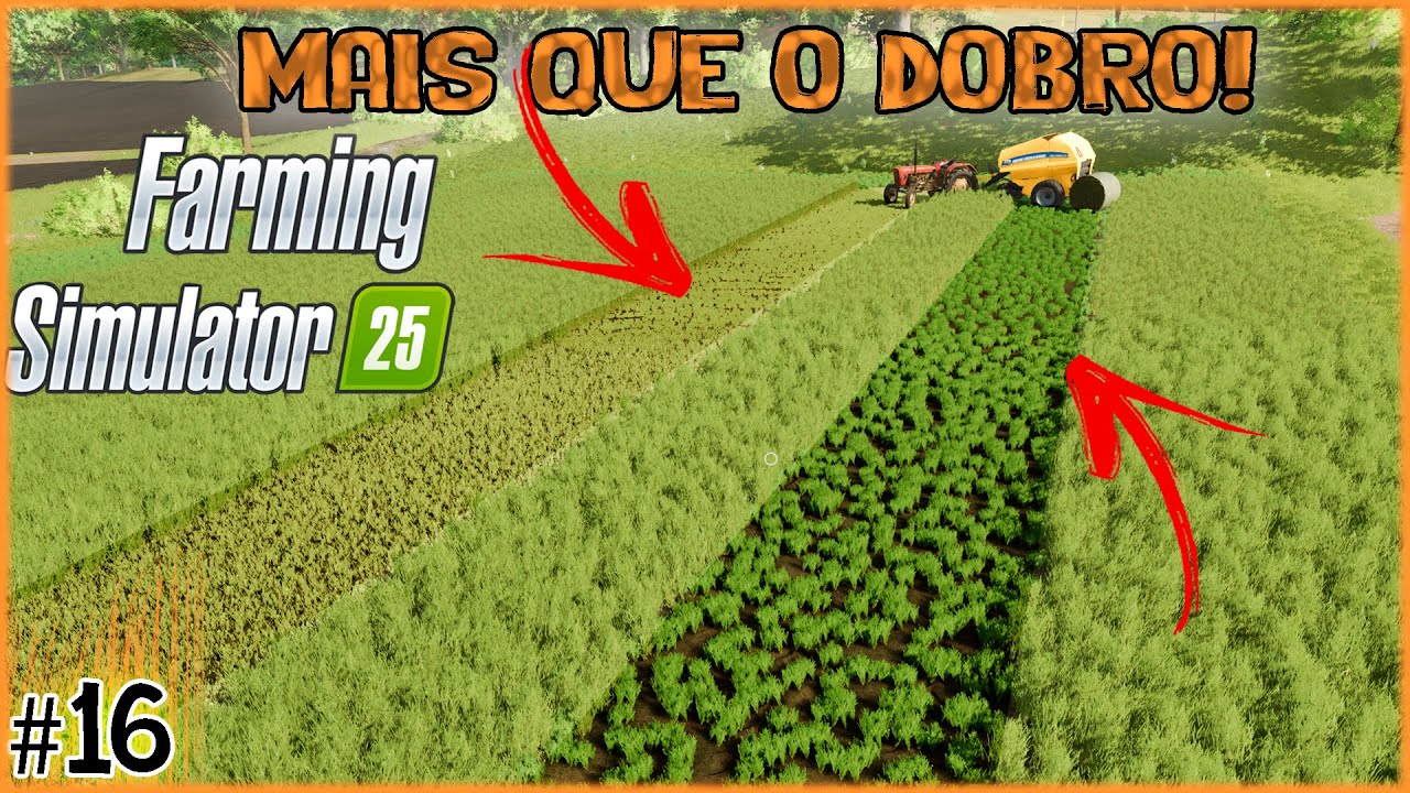 16 - O FS 25 enganou você? Farming Simulator 25