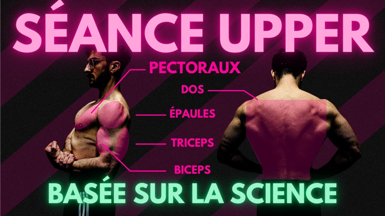 La Meilleure Séance Upper Focus Pecs - Basée sur la science