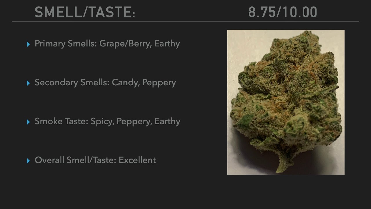 FLMCC Minute Reviews: GrowHealthy - Grape Stomper Flower