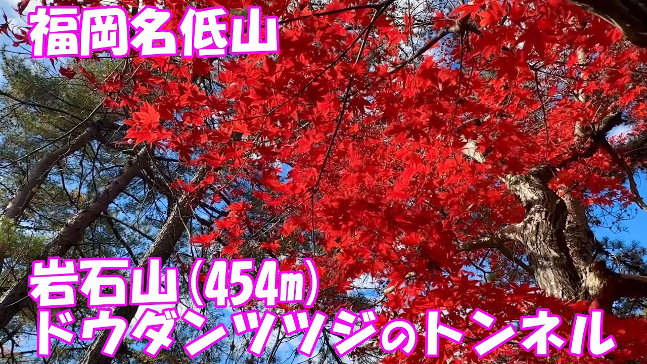 【登山】 ドウダンツツジの岩石山