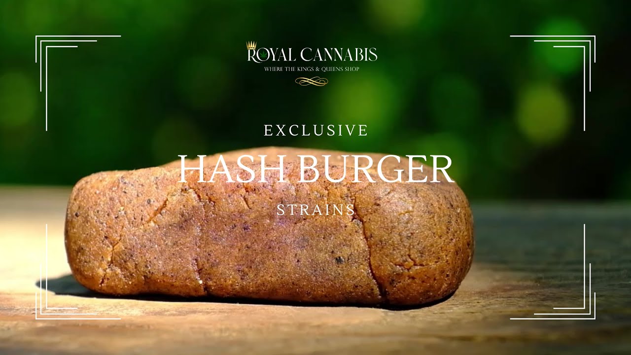 HashBurger Strain THCA Flower