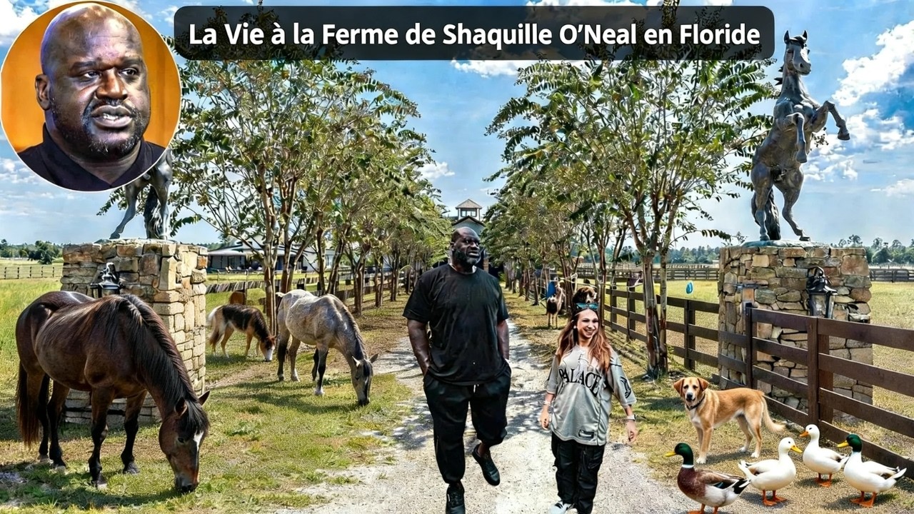 Shaquille O’Neal et l'immense fortune après avoir quitté la NBA