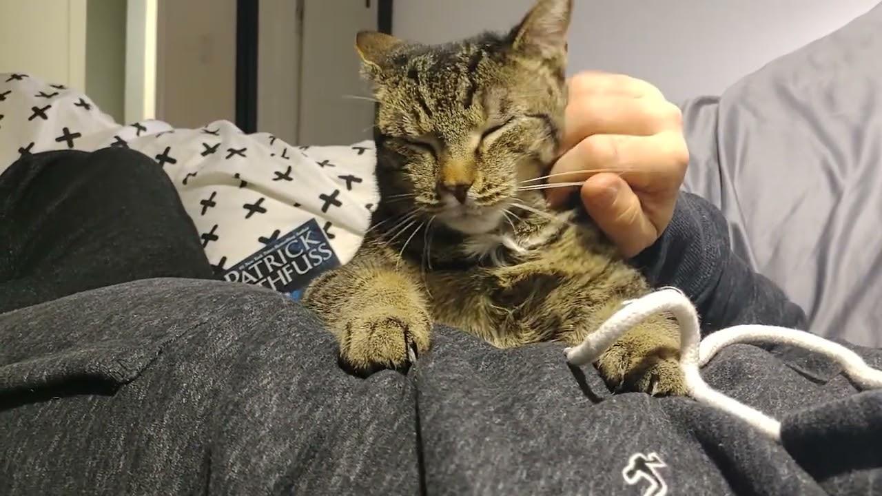 10 min affection ASMR