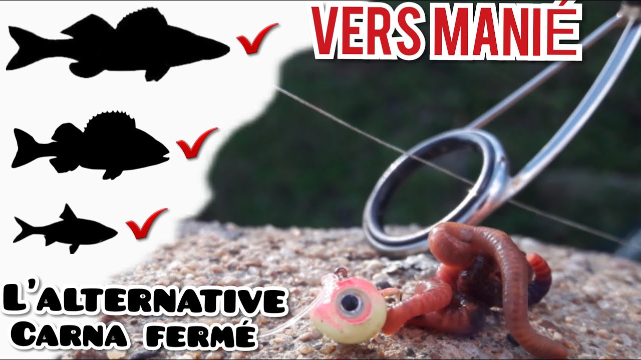 VERS MANIE ton ALTERNATIVE après la FERMETURE du carnassier !