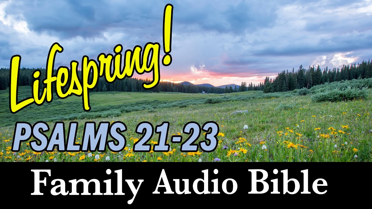 Psalms 21-23: The Greatest Psalm
