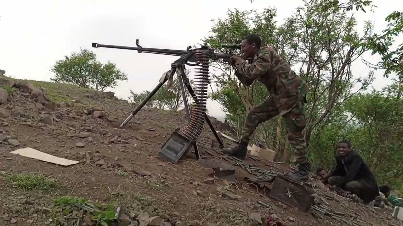ተዘክሮ ጅግንነት ኣርሚ 44