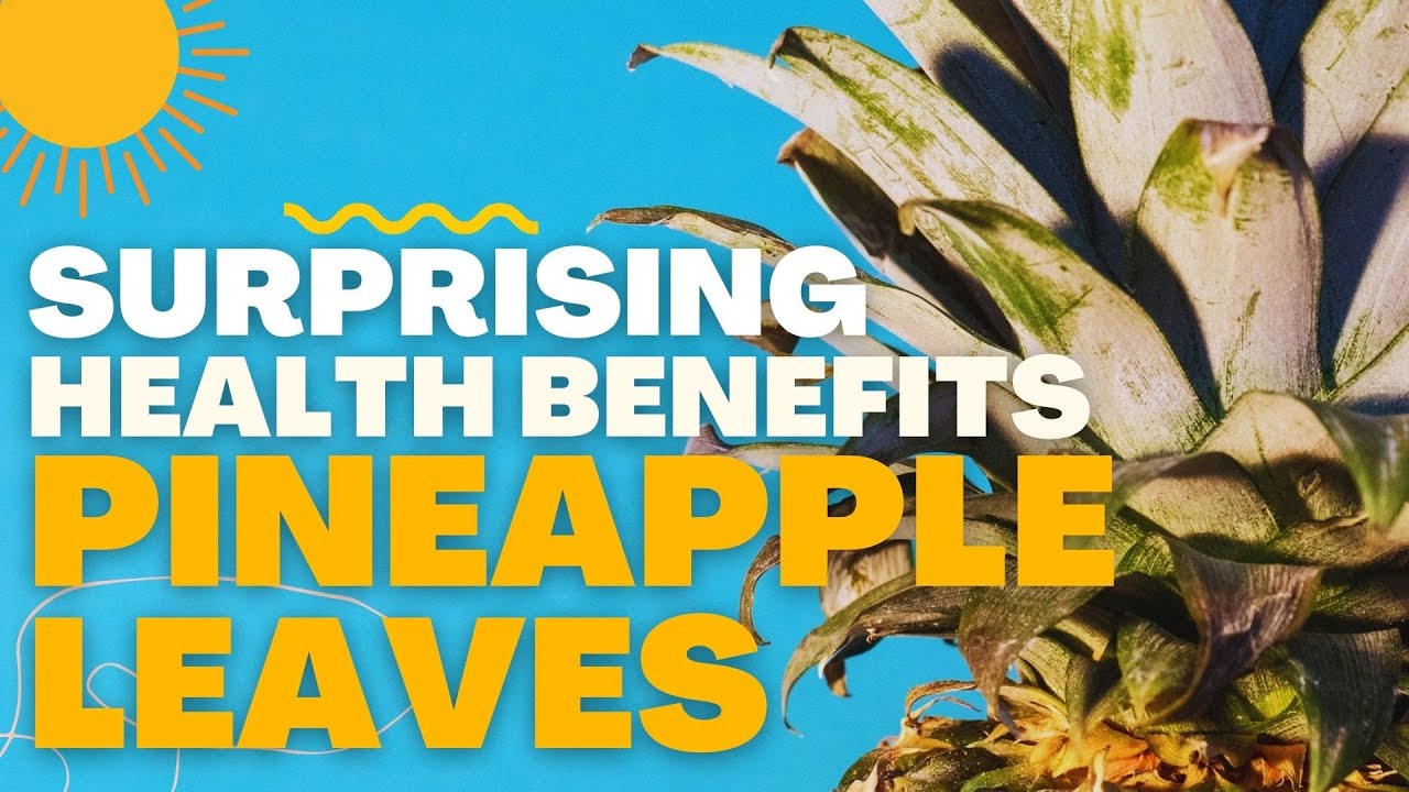PINEAPPLE LEAVES SURPRISING HEALTH BENEFITS