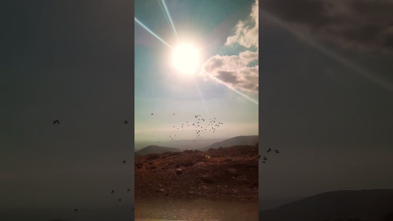#Landscape#Desert#Cinematic#birds#Canyon#Journey#Summer