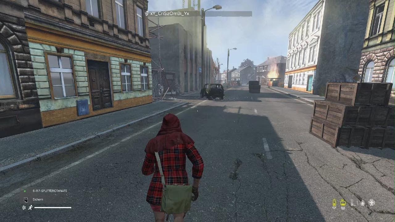 DayZ_20260110202128