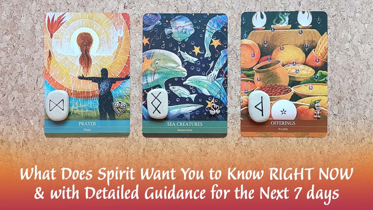 ⌛🎁🌈👼🏼WHAT DOES SPIRIT WANT YOU TO KNOW RIGHT NOW & With Detailed Guidance for the Next 7 Days 👼🏼🌈🎁⌛