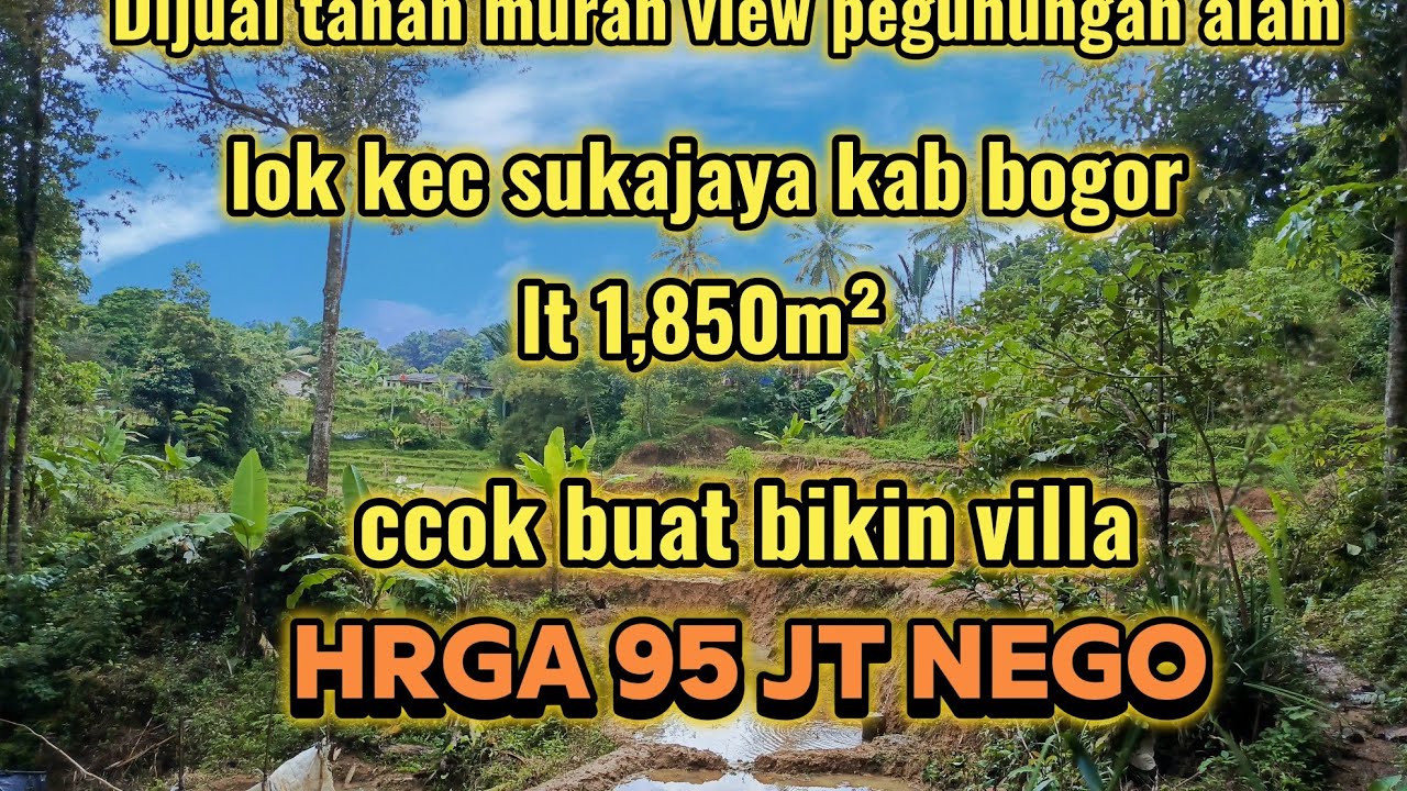 DIJUAL TANAH MURAH 95 JT nego LOK KECAMATAN SUKAJAYA KABUPATEN BOGOR #dijualtanahmurah #fypp