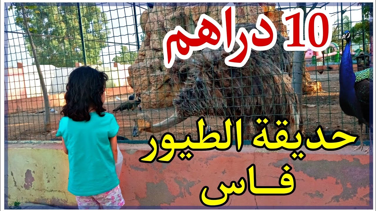 فاس || غير ب 10 دراهم أكبر حديقة طيور فالجهة الشرقية للمغرب