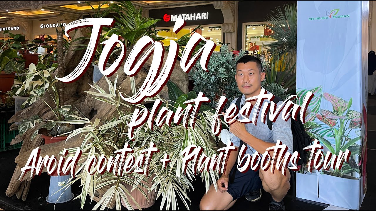 Jogja Plant Festival (2021) in Yogjakarta - Mostly Aroids but Tons of Cool Plants Sighted Too!